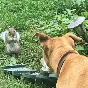 Meet your Posher, Repete repete repete